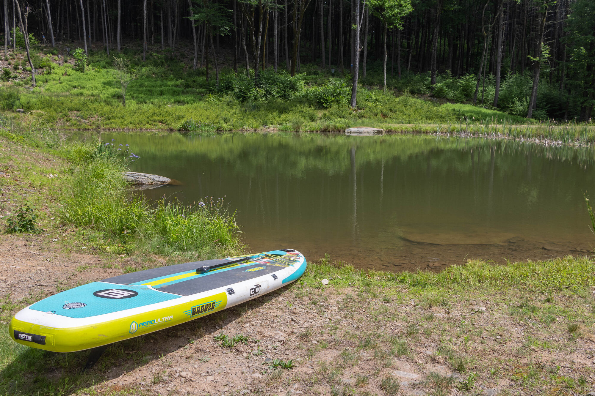 The 17-foot spring-fed swim pond
