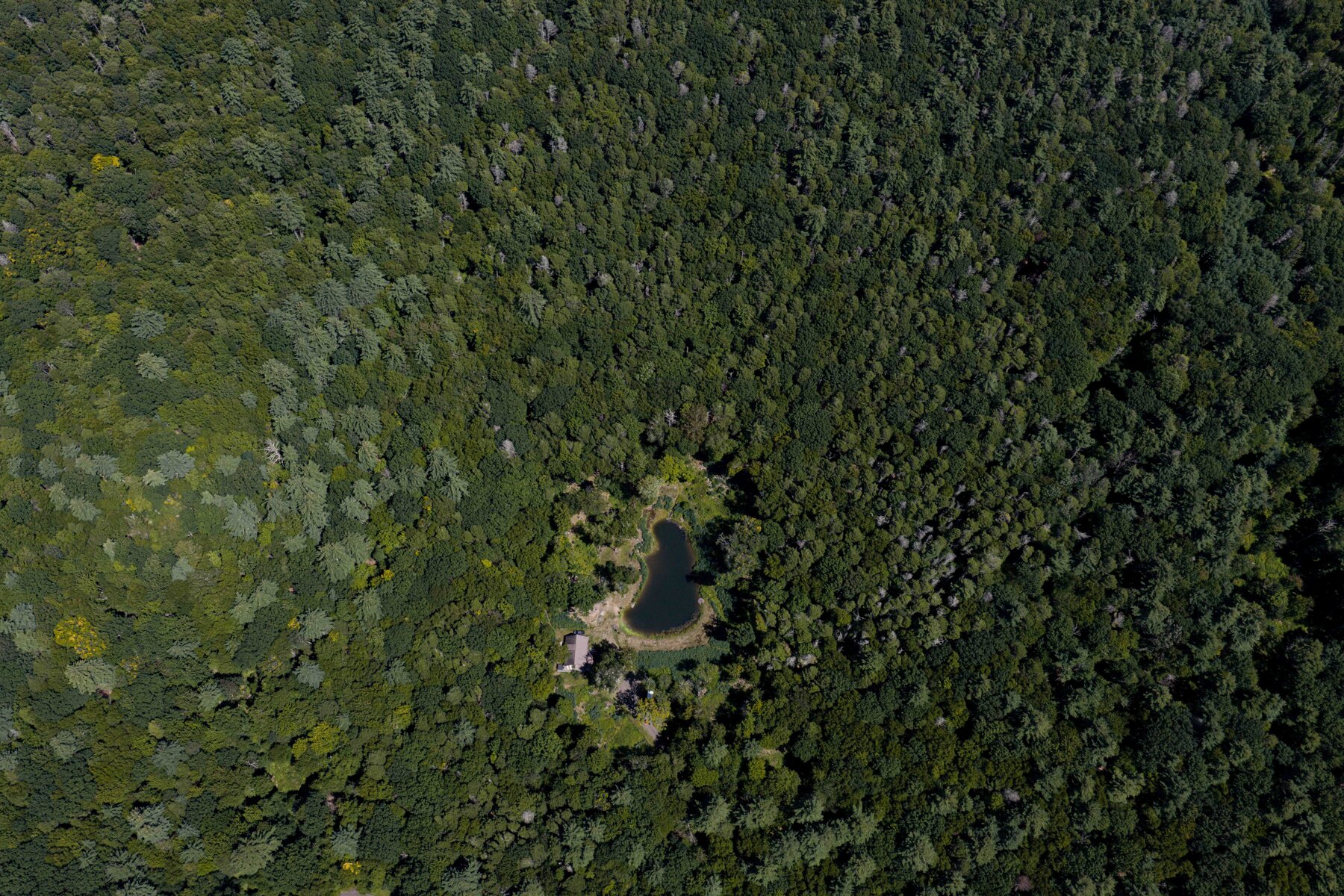 Aerial looking straight down at the waterfall-fed swim pond surrounded by unbroken Catskills forest