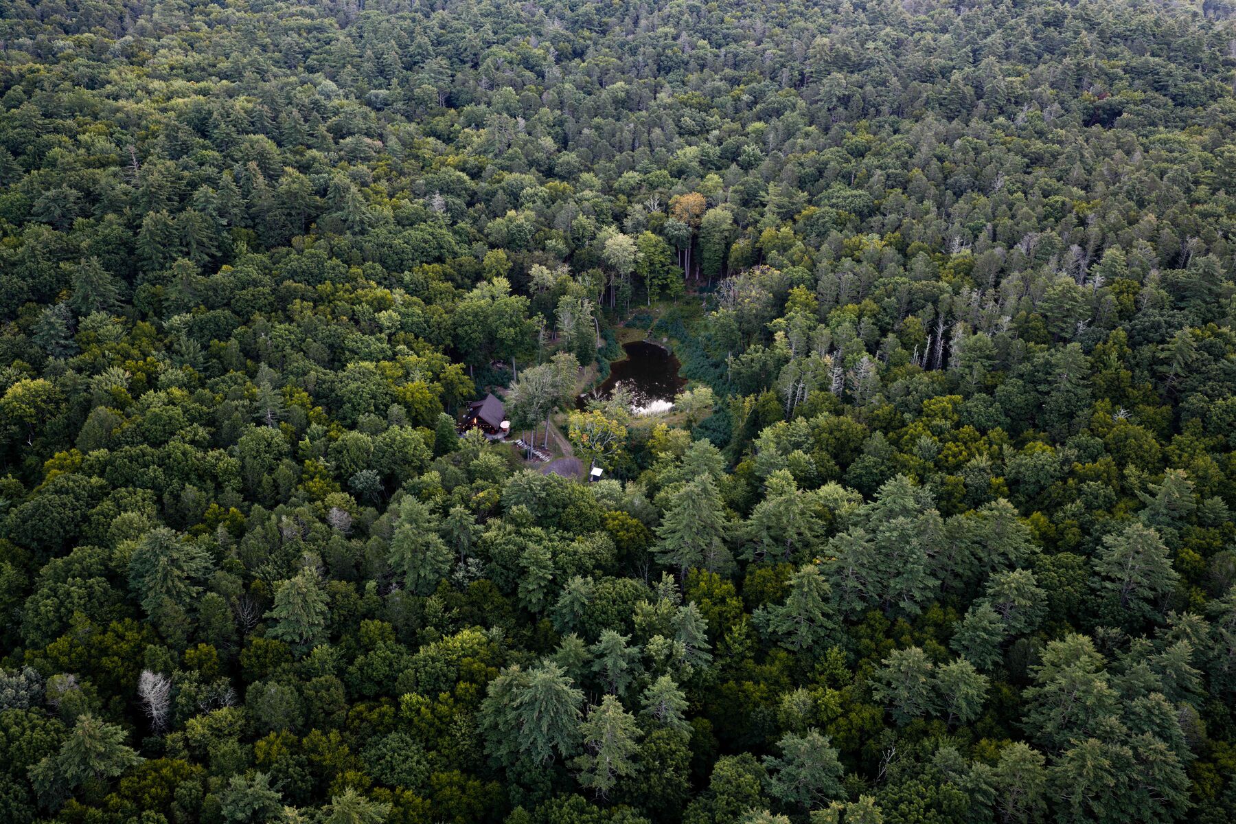 The A-frame cabin and pond nestled into the treeline at dawn on seven private acres